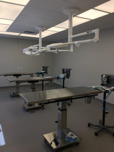 Oviedo GC for Commercial Operating Room in Veterinarian office